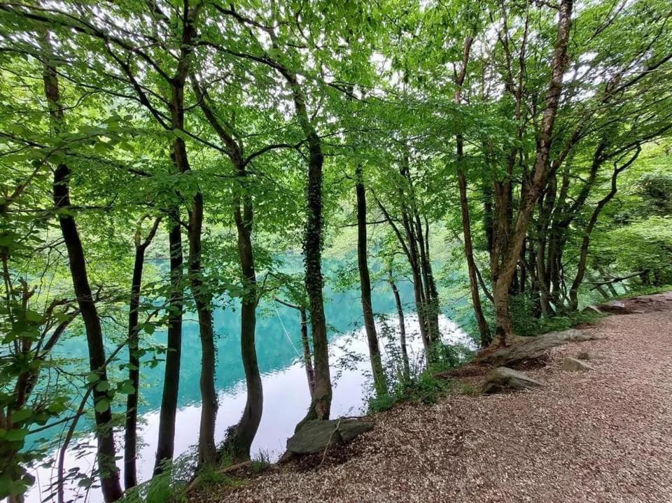 דירות לביקו טרמה Casa Bosco מראה חיצוני תמונה
