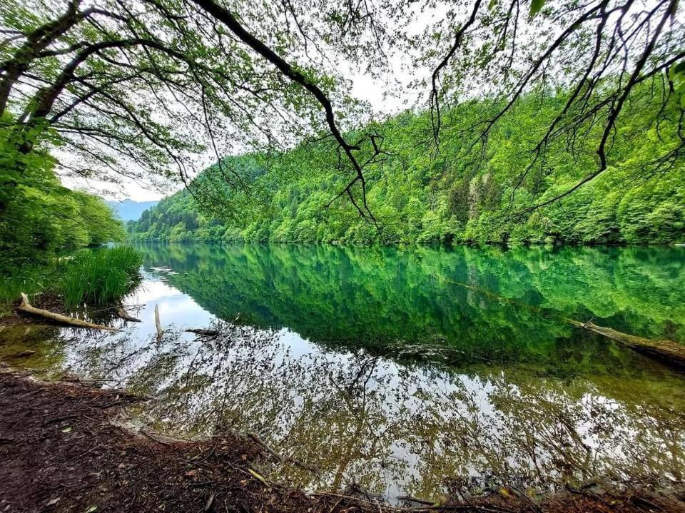 דירות לביקו טרמה Casa Bosco מראה חיצוני תמונה